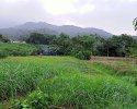 Chuyển nhượng đất không sổ đỏ bị phạt bao nhiêu tiền?