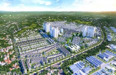 ĐẠI PHƯỚC MOLITA 