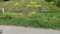 Đất thổ cư mặt tiền đường nhựa rộng 6m ( 443m2 ) tại xã Thái Mỹ - Củ Chi - TPHCM 