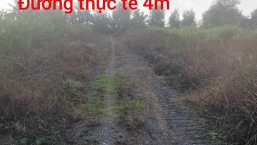 Cần bán gấp đất vườn  xã Thạnh Lợi,Đức Hoà,Long An 10x50 (500m2)