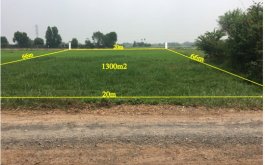 Đất vườn mặt tiền đường sỏi đá rộng 5m 1300m2 tại xã Phước Thạnh - Củ Chi - TPHCM .