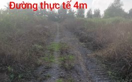 Cần bán gấp đất vườn  xã Thạnh Lợi,Đức Hoà,Long An 10x50 (500m2)