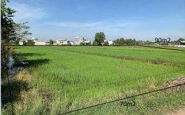 Đất Nông Nghiêp Xã Mỹ Hanh Bắc-Đức Hoà