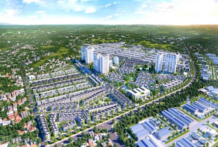 ĐẠI PHƯỚC MOLITA 