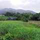 Chuyển nhượng đất không sổ đỏ bị phạt bao nhiêu tiền?